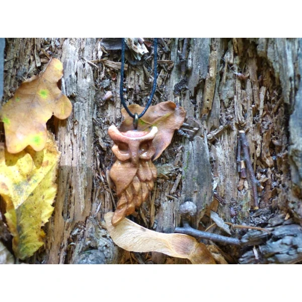 Mądrość Lasu / Wisdom of the Forest